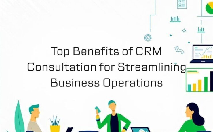 consulting CRM